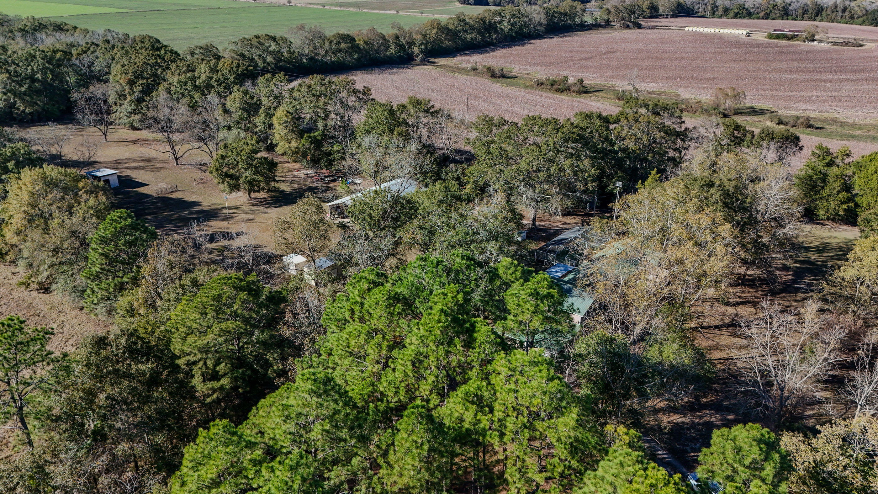 1981 Parrish Road Florala, AL 36442 - Photo 40 of 59 DJI_20251112140712_0049_D