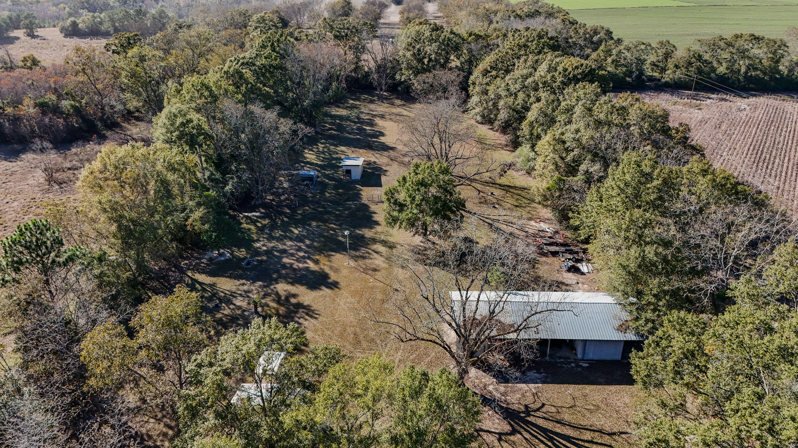 1981 Parrish Road Florala, AL 36442 - Photo 41 of 59 DJI_20251112140723_0050_D
