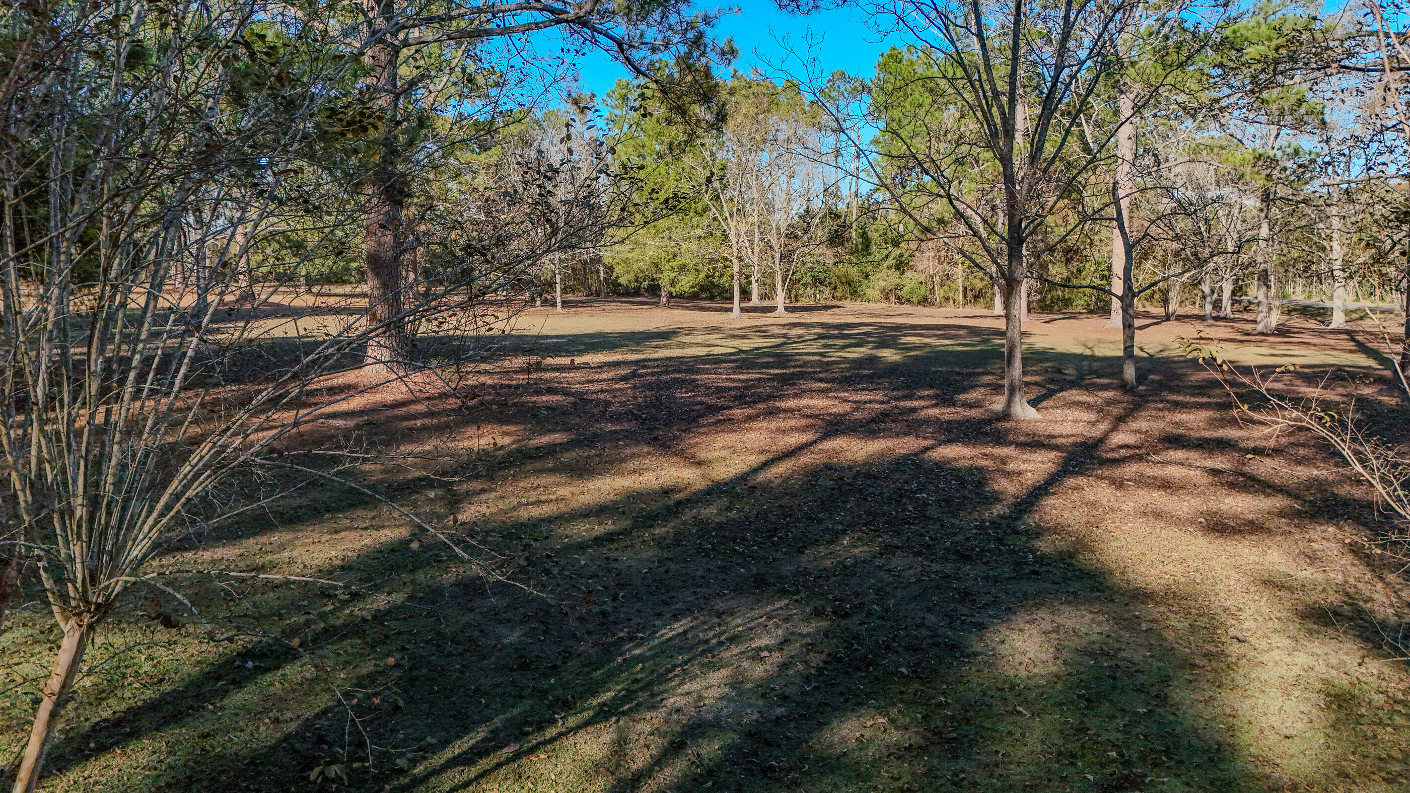 1981 Parrish Road Florala, AL 36442 - Photo 49 of 59 DJI_20251112141120_0059_D