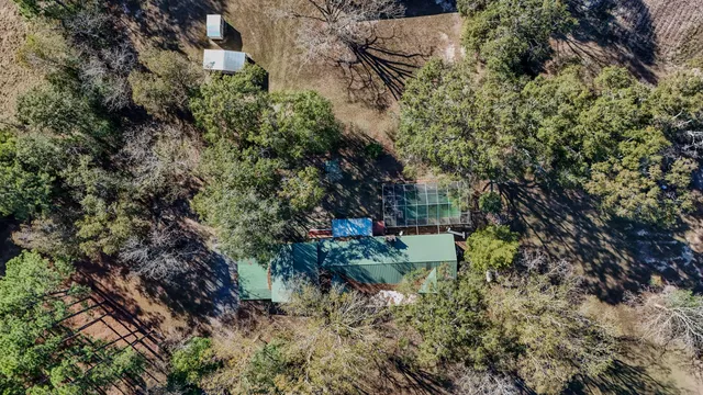 a view of a garden with a lot of trees