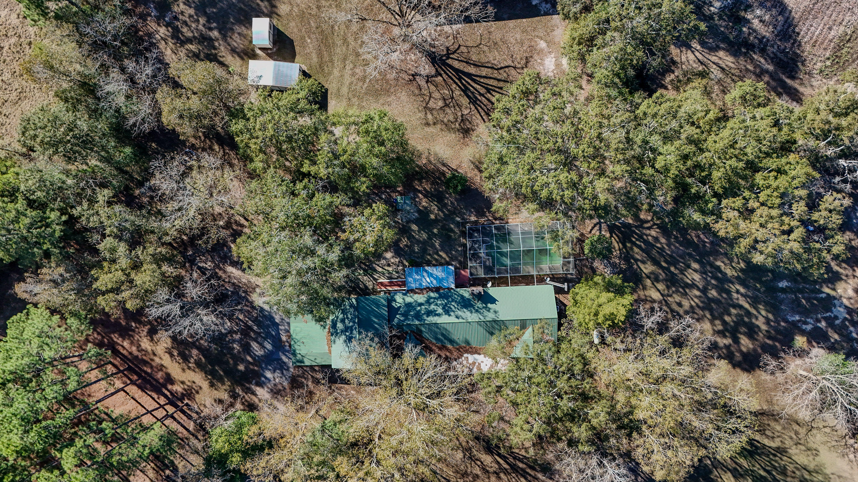 1981 Parrish Road Florala, AL 36442 - Photo 50 of 59 DJI_20251112140316_0039_D