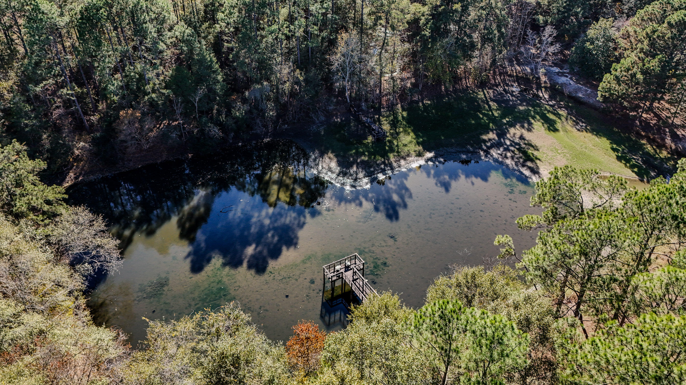 1981 Parrish Road Florala, AL 36442 - Photo 52 of 59 DJI_20251112140518_0042_D