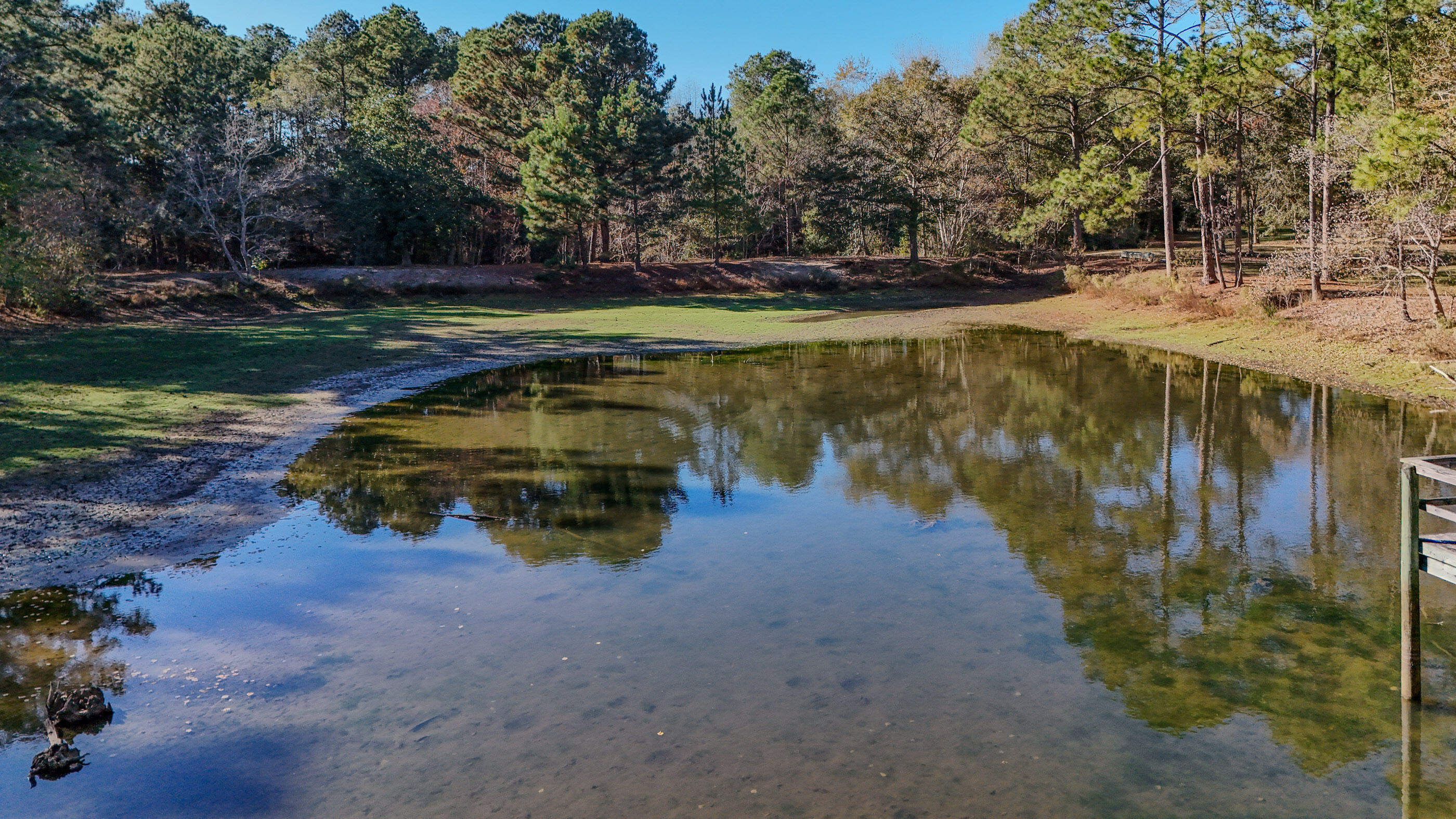 1981 Parrish Road Florala, AL 36442 - Photo 54 of 59 DJI_20251112140556_0045_D