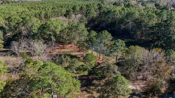 $549,900 | 1981 Parrish Road, Florala, AL 36442