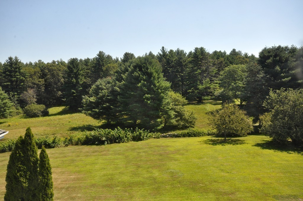 1228 Lowell Road Concord, MA 01742 - Photo 25 of 27 a view of yard with swimming pool and green space