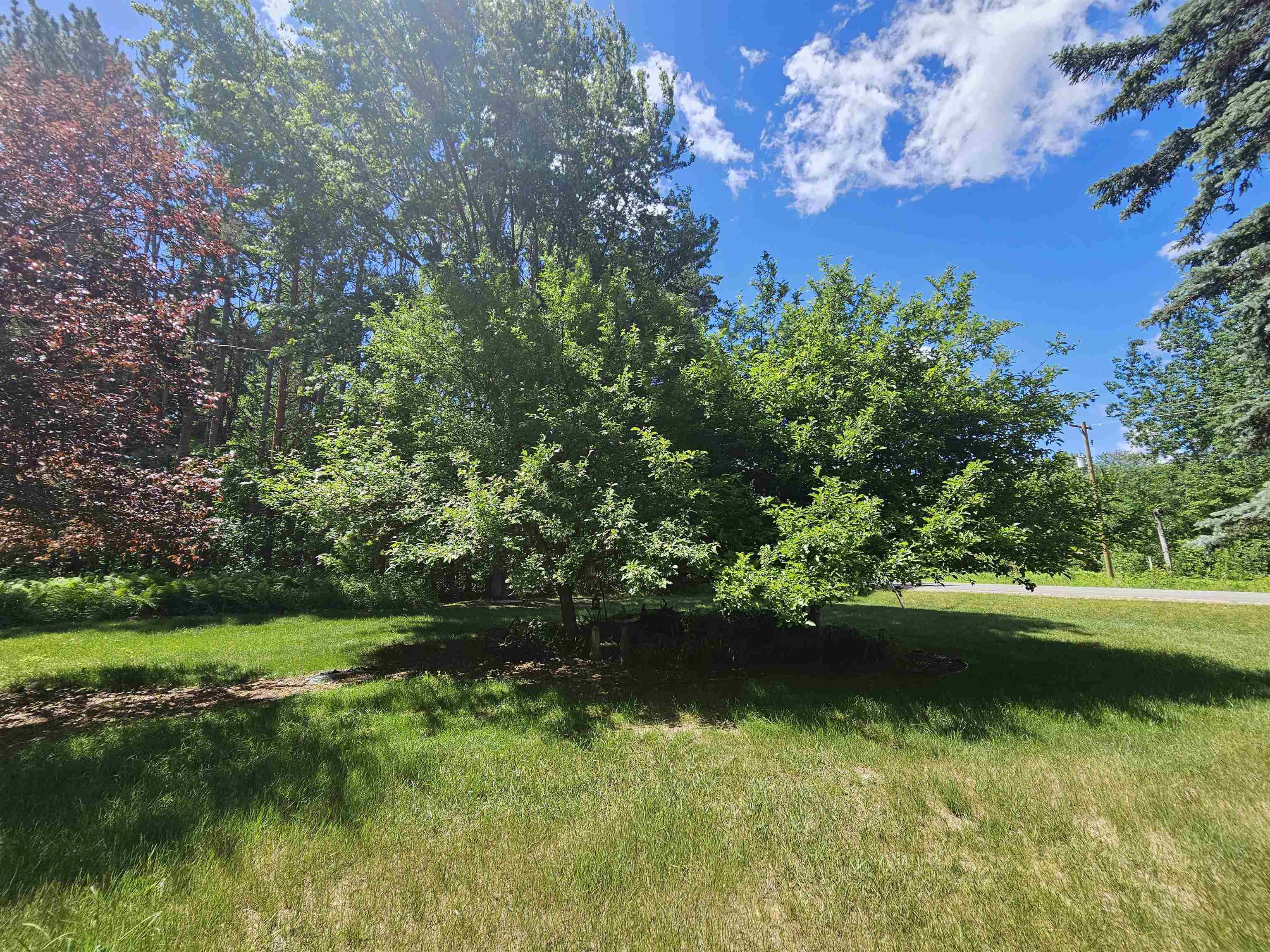 3351 South Dickerson Road Lake City, MI 49651 - Photo 41 of 52