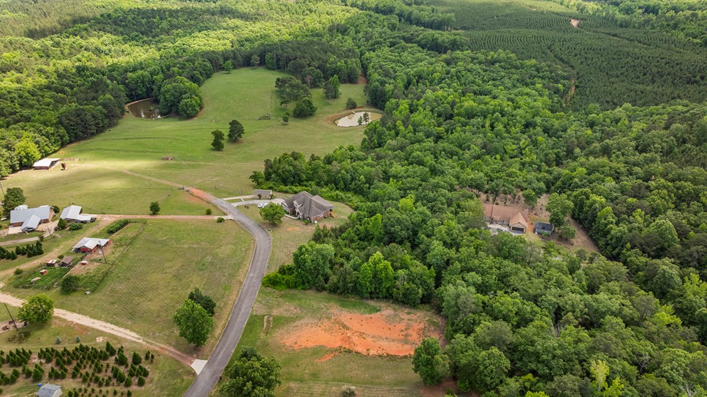 5198 Scenic Heights Road Manchester, GA 31816 - Photo 26 of 27