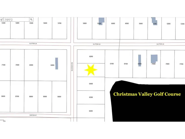 a picture of a park with large trees