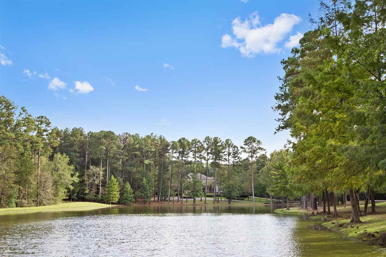 1183 Robinson Springs Road Madison, MS 39110 - Photo 5 of 50 Photo 5