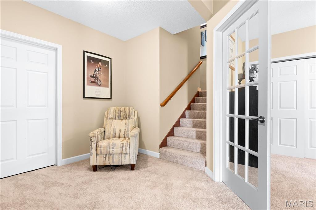 400 Grand Orchid Road O'Fallon, IL 62269 - Photo 33 of 46