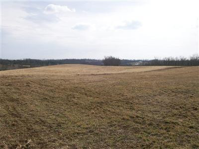 7941 Tates Creek Road Nicholasville, KY 40356 - Photo 1 of 7 View of the front of the 30 acres.