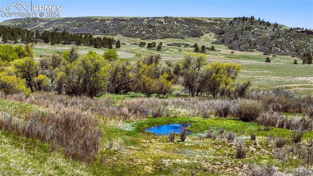 4 Lorraine Road Larkspur, CO 80118 - Photo 1 of 24