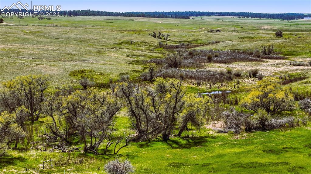 4 Lorraine Road Larkspur, CO 80118 - Photo 12 of 24