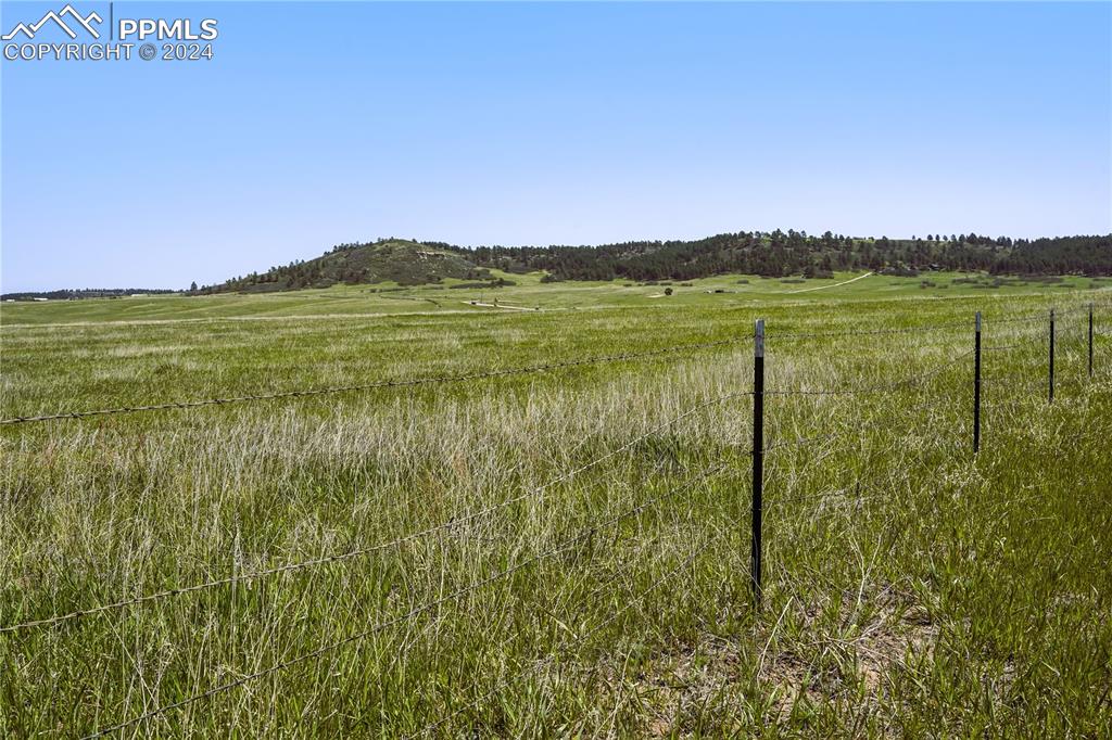 4 Lorraine Road Larkspur, CO 80118 - Photo 14 of 24