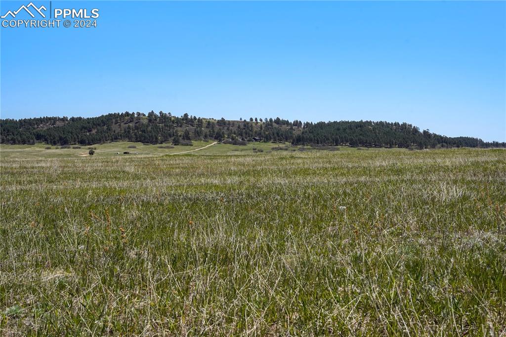 4 Lorraine Road Larkspur, CO 80118 - Photo 15 of 24