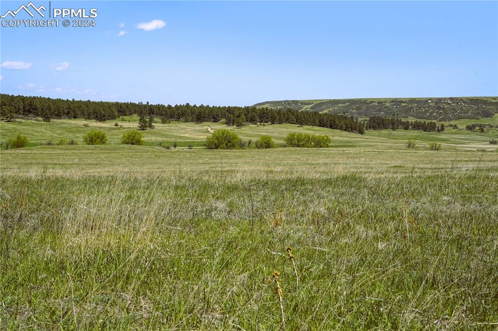 4 Lorraine Road Larkspur, CO 80118 - Photo 16 of 24