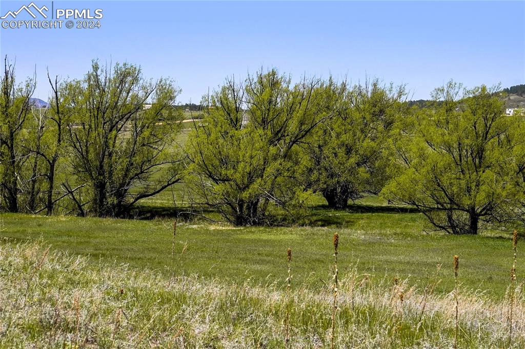 4 Lorraine Road Larkspur, CO 80118 - Photo 19 of 24