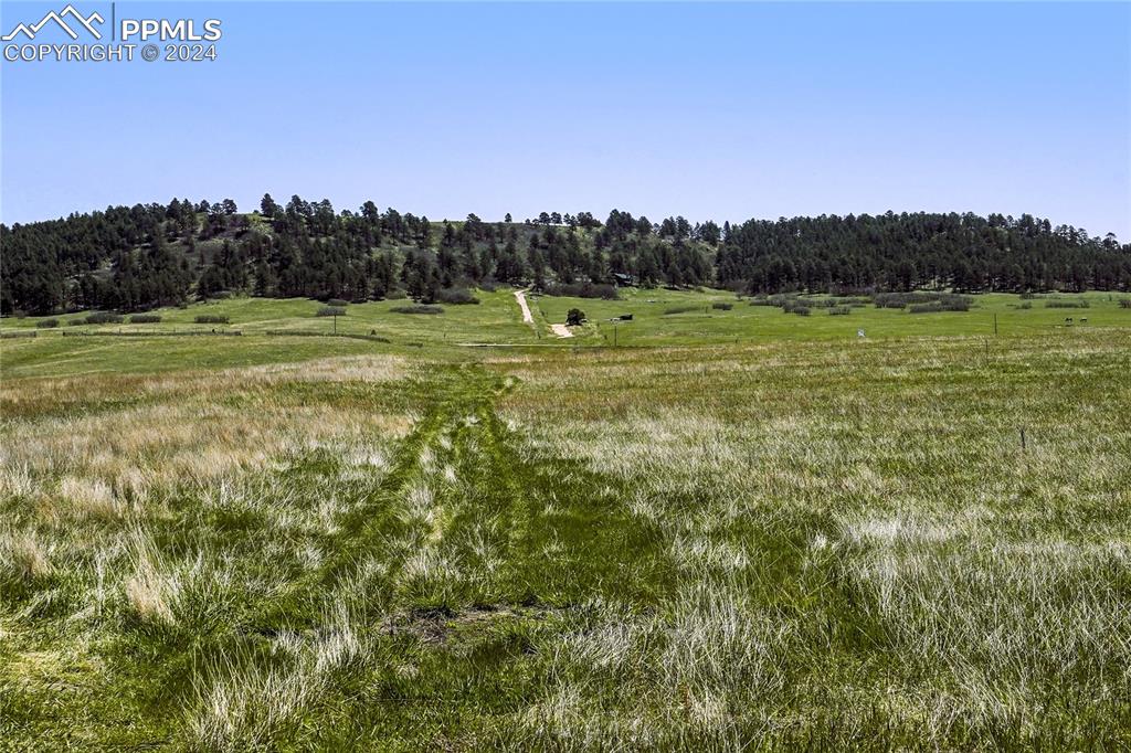 4 Lorraine Road Larkspur, CO 80118 - Photo 2 of 24