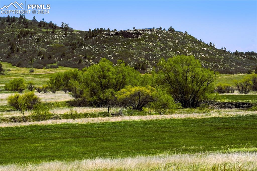 4 Lorraine Road Larkspur, CO 80118 - Photo 21 of 24