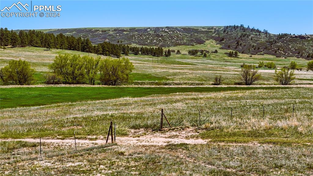4 Lorraine Road Larkspur, CO 80118 - Photo 8 of 24