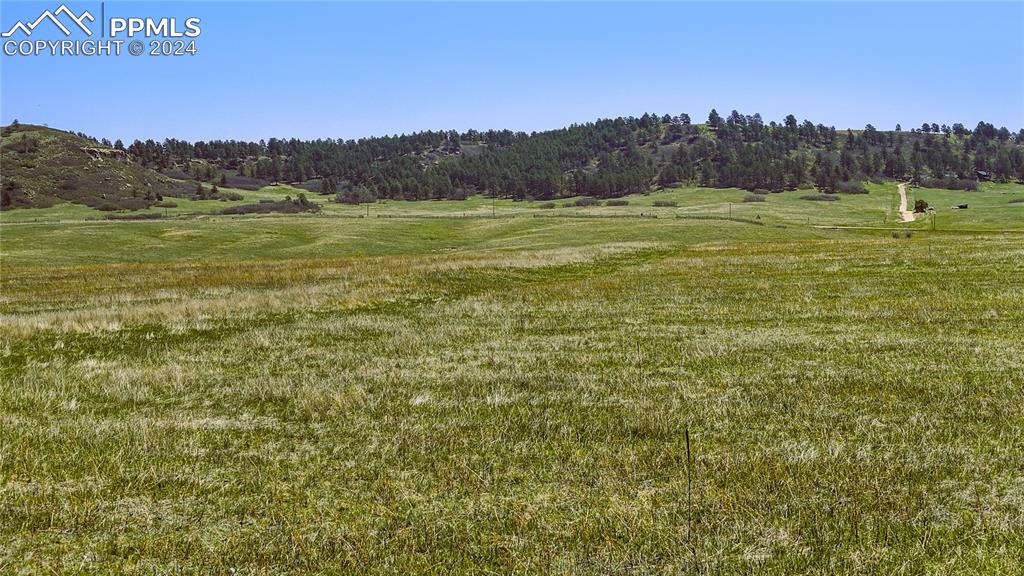 4 Lorraine Road Larkspur, CO 80118 - Photo 9 of 24