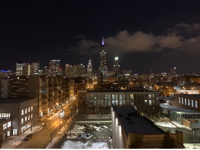 1201 West Adams Street, Unit 705 Chicago, IL 60607 - Photo 2 of 30 a city view