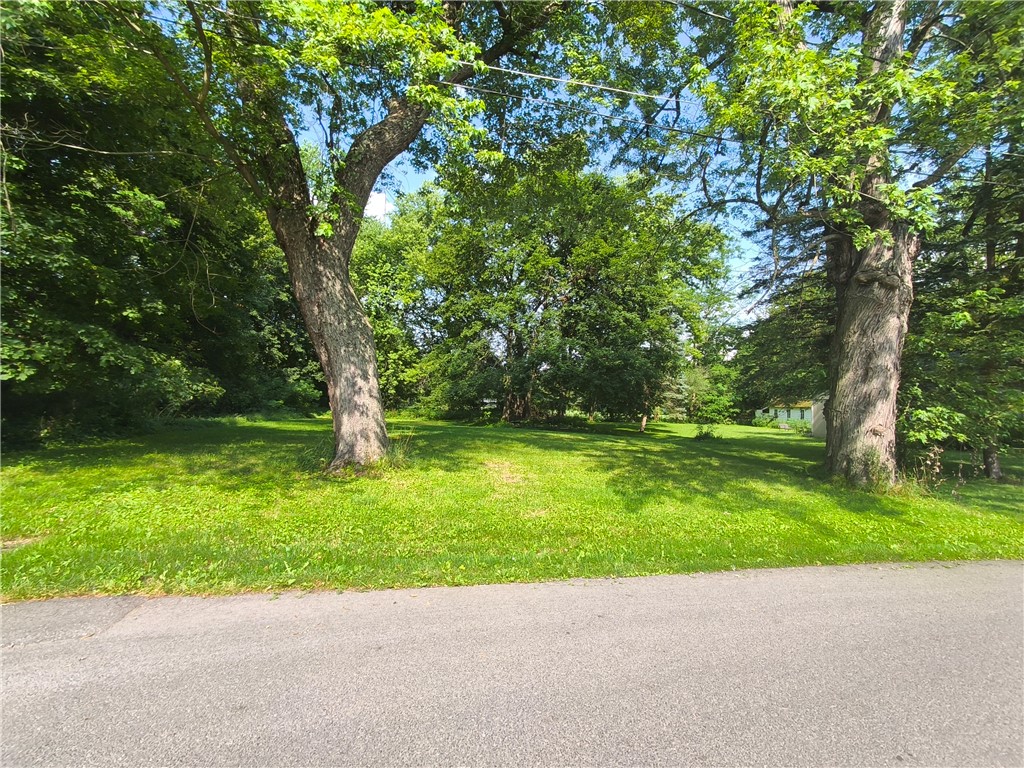 16 Noble Street Unadilla, NY 13849 - Photo 14 of 17