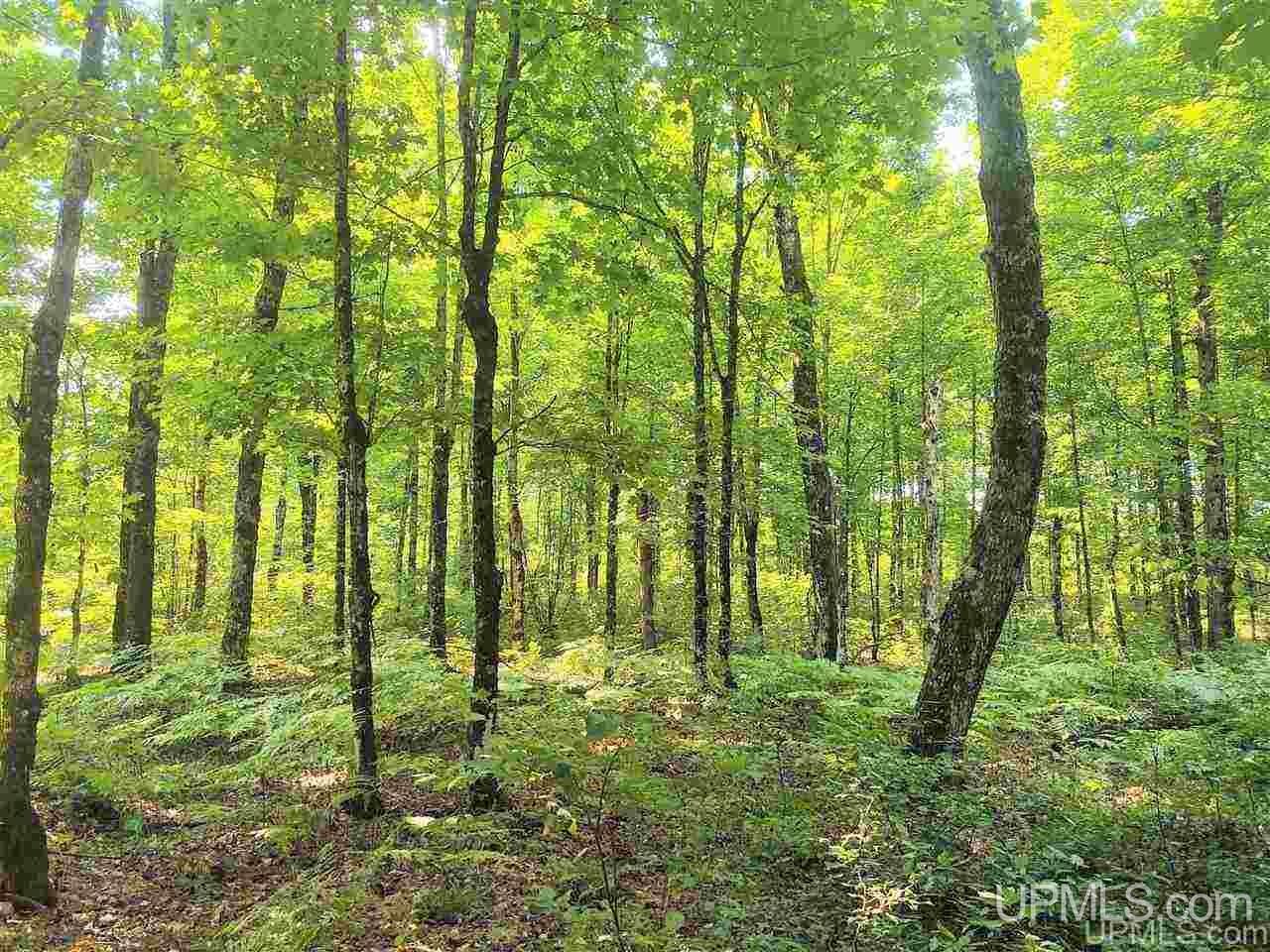 Tbd Connors Road Iron River, MI 49935 - Photo 20 of 34