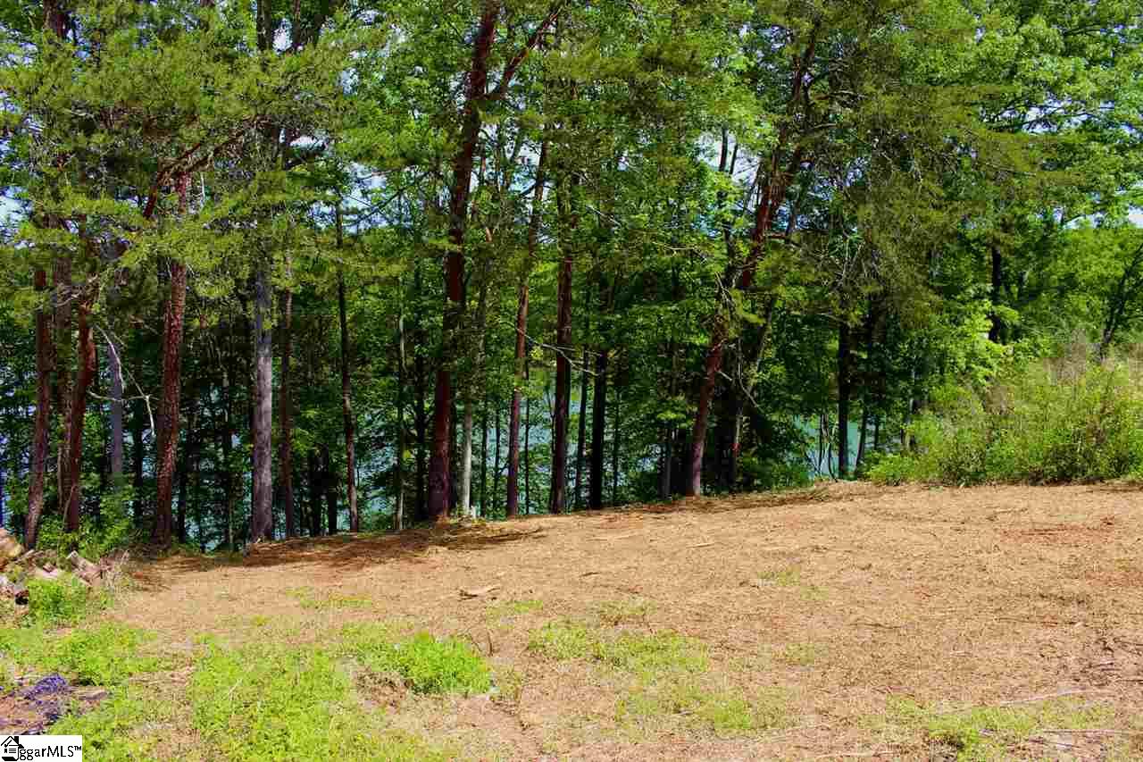 29 Echo Ridge Rd Union West Union, SC 29696 - Photo 13 of 32 Gallery Image 13