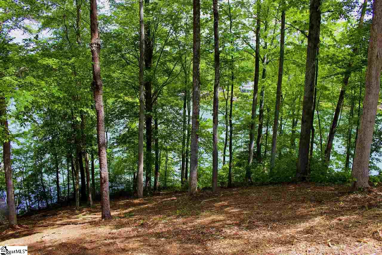 29 Echo Ridge Rd Union West Union, SC 29696 - Photo 18 of 32 Gallery Image 18