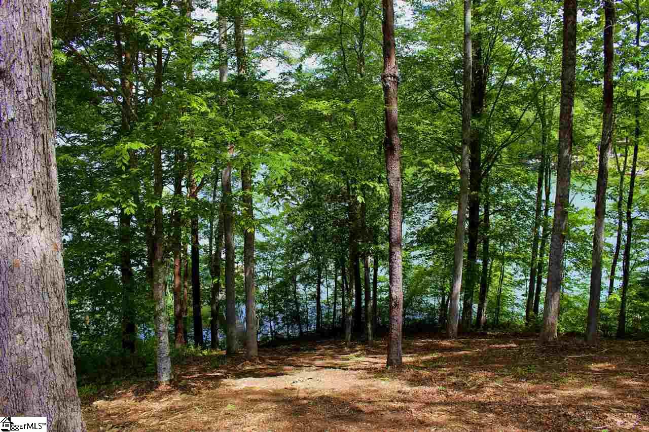 29 Echo Ridge Rd Union West Union, SC 29696 - Photo 19 of 32 Gallery Image 19