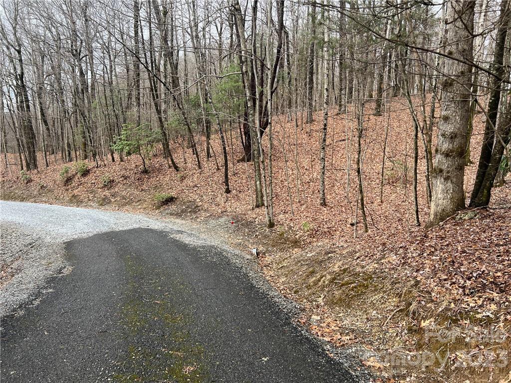999 Indian Camp Mountain Road Rosman, NC 28772 - Photo 1 of 19 Gallery Image 1