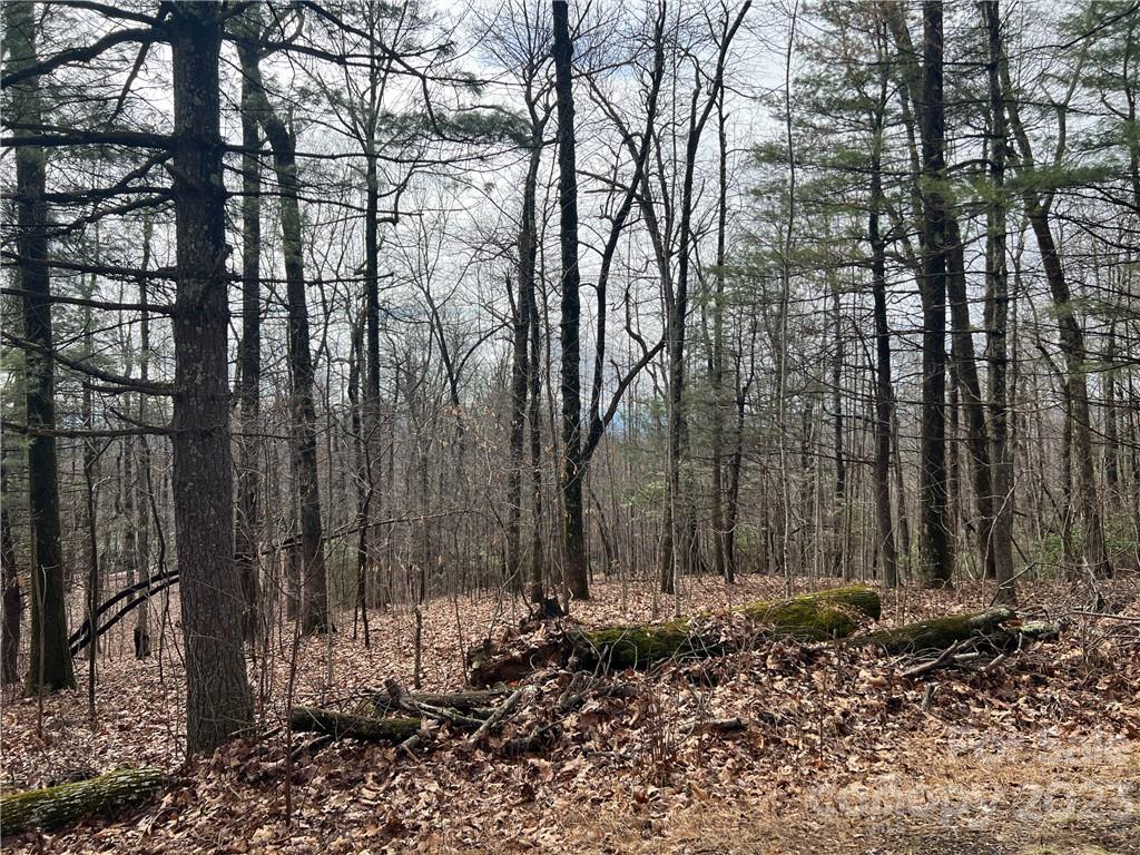 999 Indian Camp Mountain Road Rosman, NC 28772 - Photo 13 of 19 Gallery Image 13