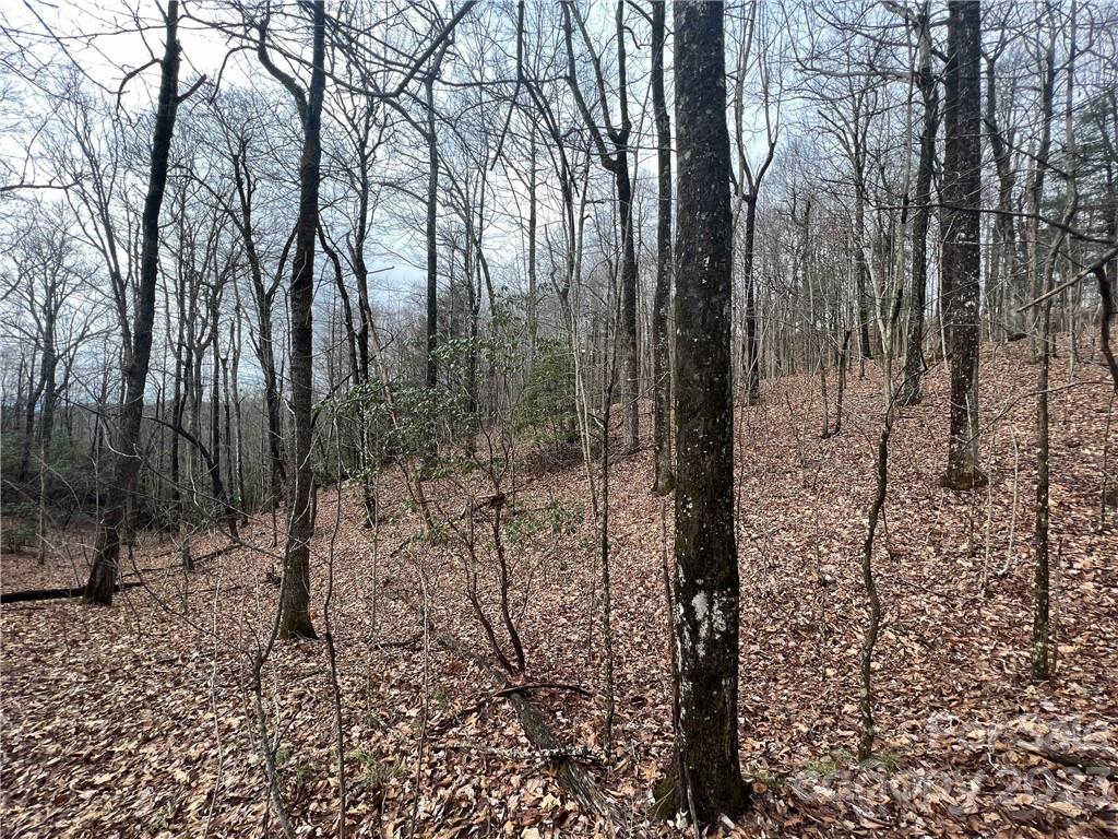 999 Indian Camp Mountain Road Rosman, NC 28772 - Photo 6 of 19 Gallery Image 6
