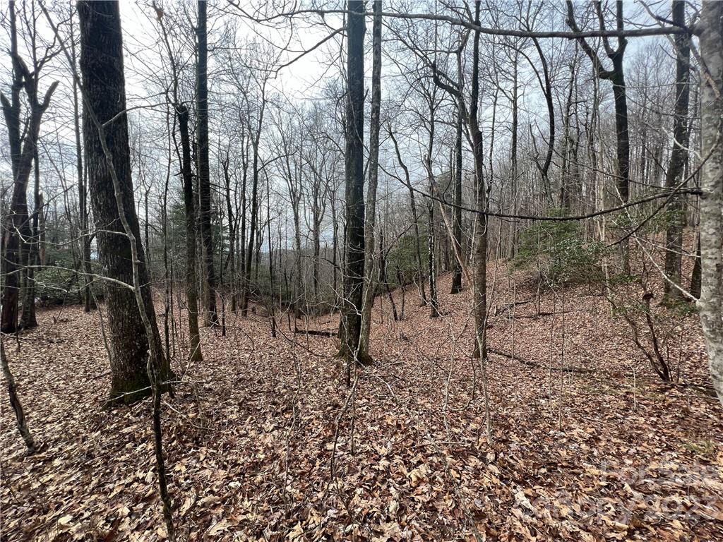 999 Indian Camp Mountain Road Rosman, NC 28772 - Photo 7 of 19 Gallery Image 7