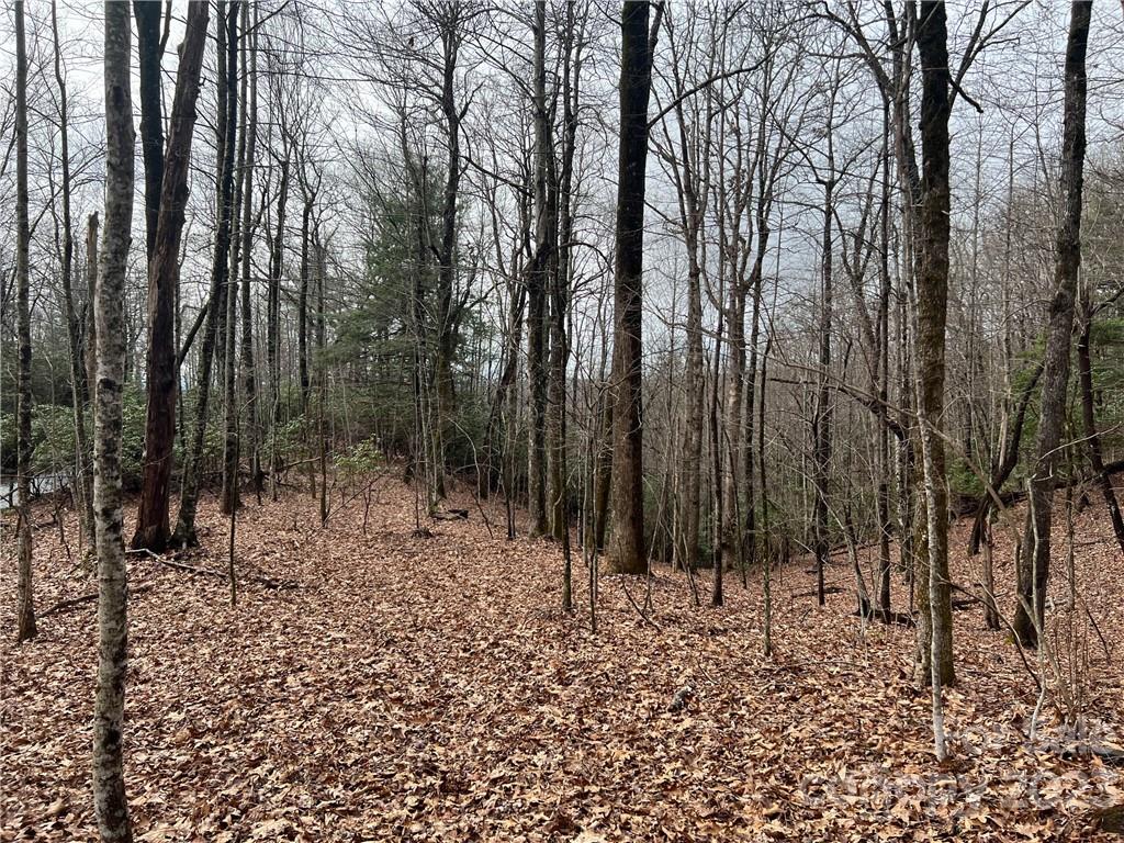 999 Indian Camp Mountain Road Rosman, NC 28772 - Photo 8 of 19 Gallery Image 8
