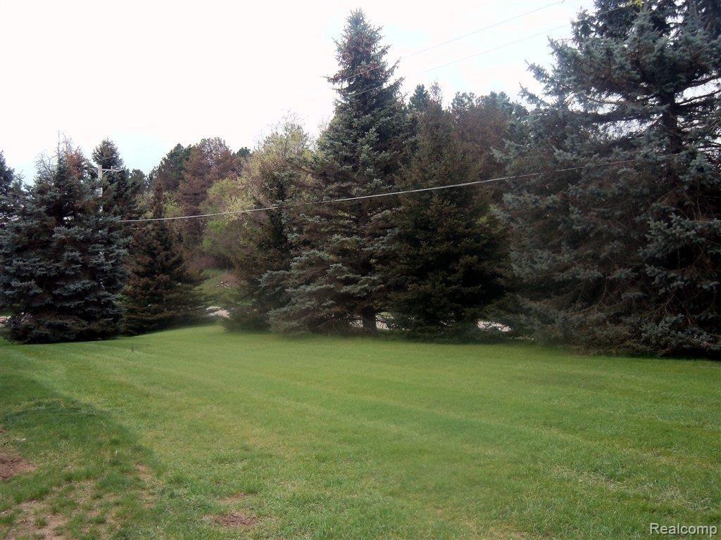 2863 Bullock Road Metamora, MI 48455 - Photo 21 of 25 Front yard.JPG