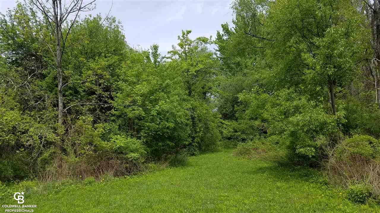 9866 Brandon Road Avoca, MI 48006 - Photo 25 of 30 This is view 5 of the field.