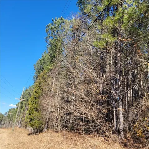 a view of a yard with a tree