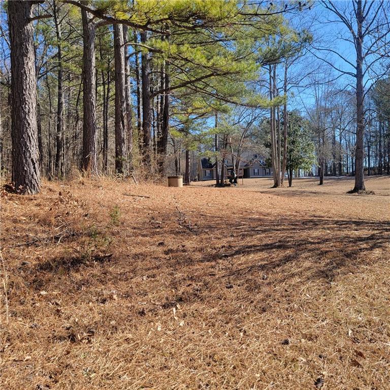 0 Bohannon Road Grantville, GA 30220 - Photo 11 of 13 a view of road and trees
