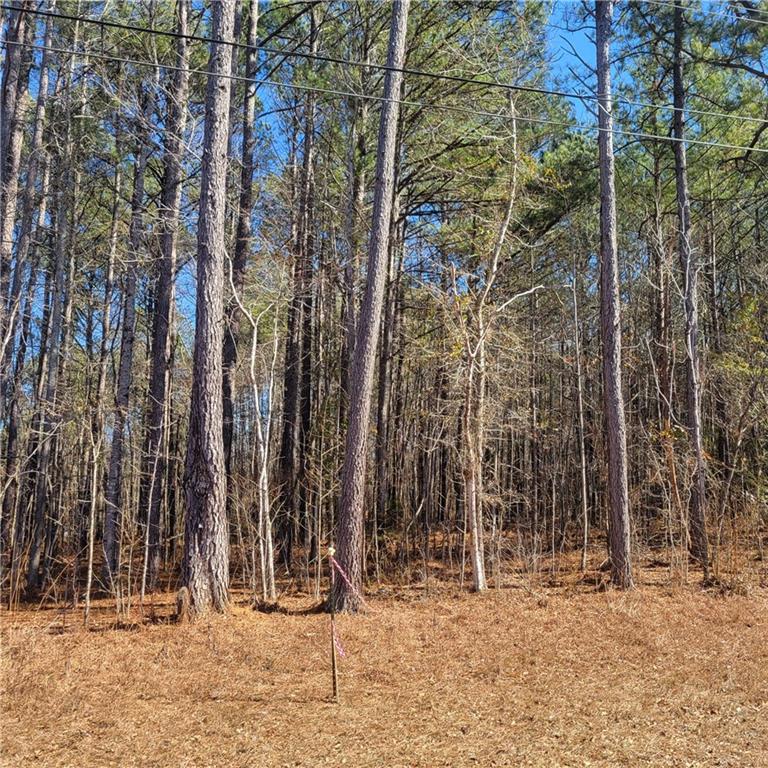 0 Bohannon Road Grantville, GA 30220 - Photo 12 of 13 a backyard of a house with lots of green space