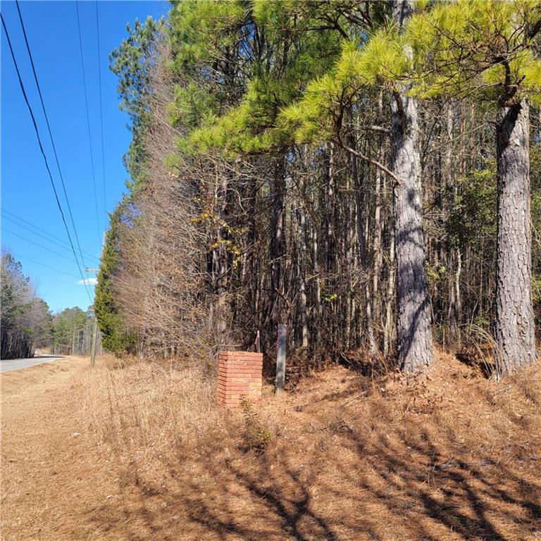 0 Bohannon Road Grantville, GA 30220 - Photo 13 of 13