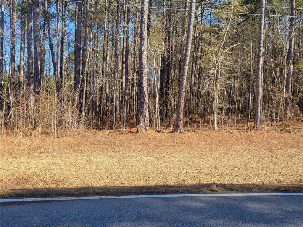 0 Bohannon Road Grantville, GA 30220 - Photo 2 of 13 a view of wooden fence