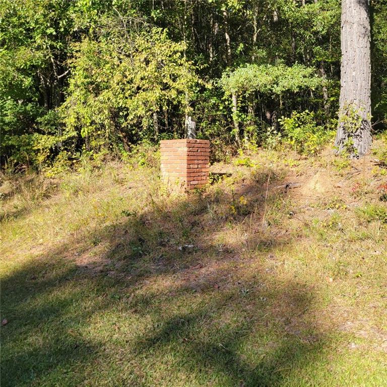 0 Bohannon Road Grantville, GA 30220 - Photo 5 of 13 a view of wall yard