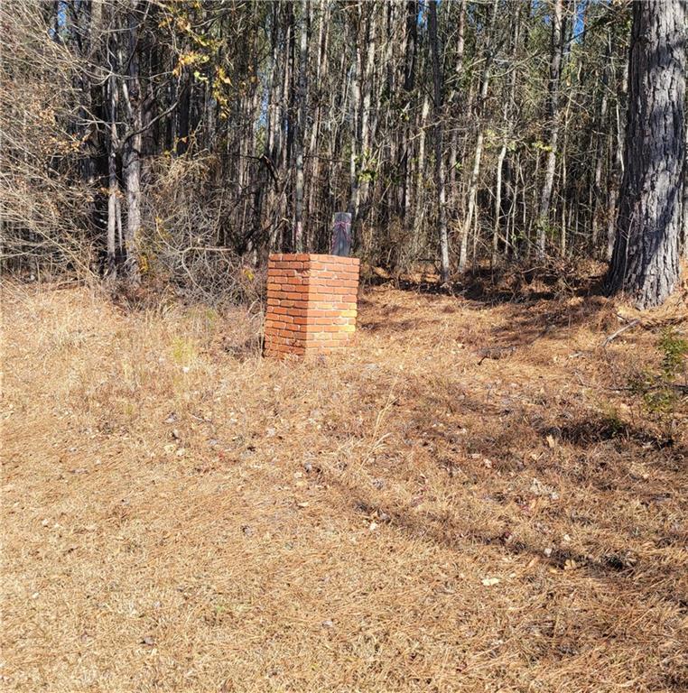 0 Bohannon Road Grantville, GA 30220 - Photo 5 of 13