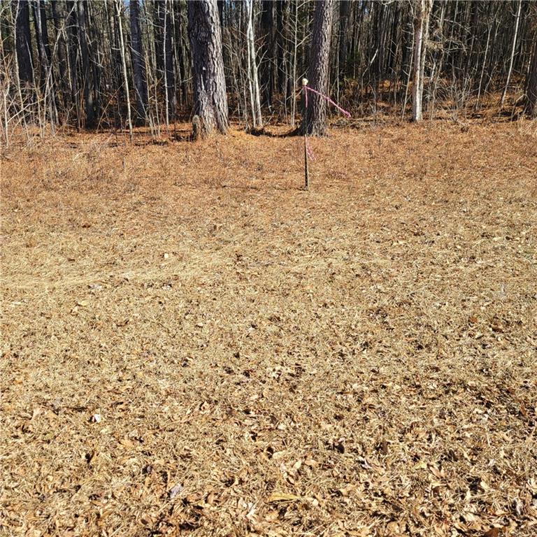 0 Bohannon Road Grantville, GA 30220 - Photo 6 of 13 a view of a backyard of the house