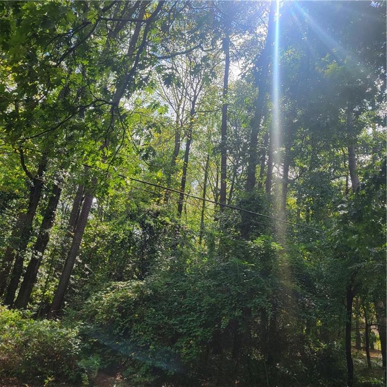 0 Bohannon Road Grantville, GA 30220 - Photo 7 of 13