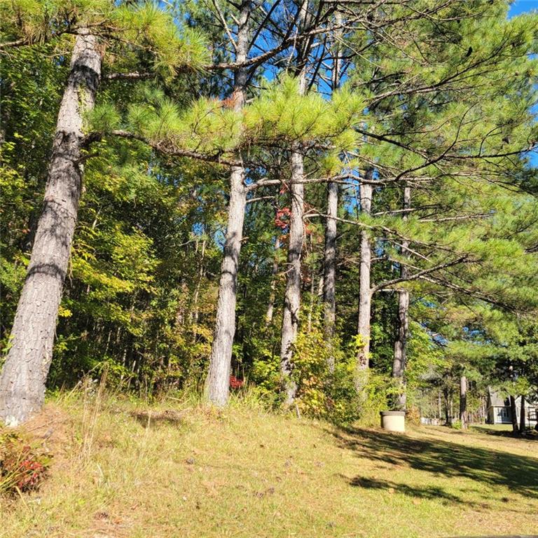 0 Bohannon Road Grantville, GA 30220 - Photo 8 of 13