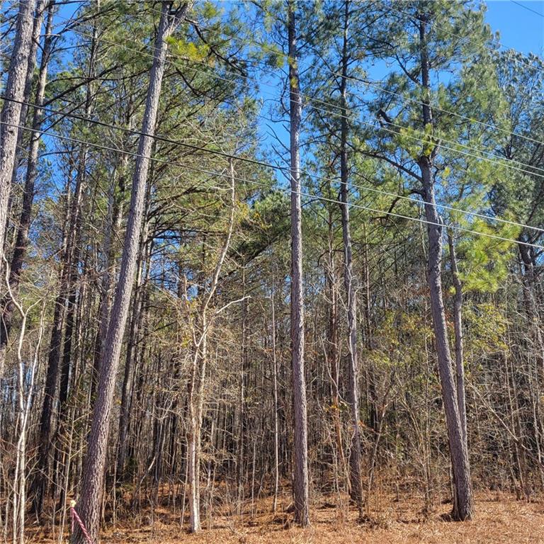 0 Bohannon Road Grantville, GA 30220 - Photo 9 of 13