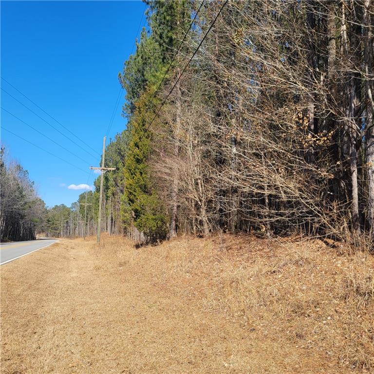 0 Bohannon Road Grantville, GA 30220 - Photo 10 of 13 a view of yard covered with snow